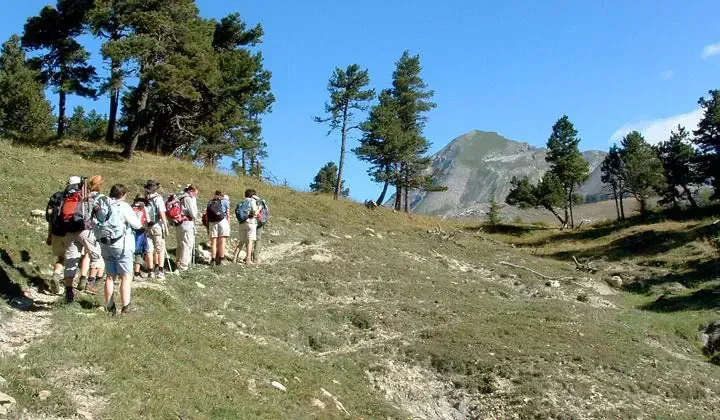 Groupe de randonneurs sur sentier - Buech Devoluy - Alpes francaises