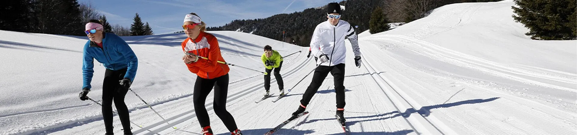 Groupe de skieurs sur piste enneigee en foret - Alpes - France
