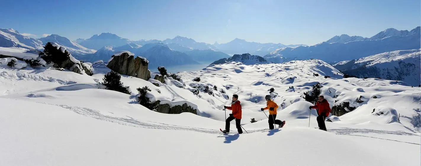 Groupe Randonneurs Raquettes Aletsch - Suisse