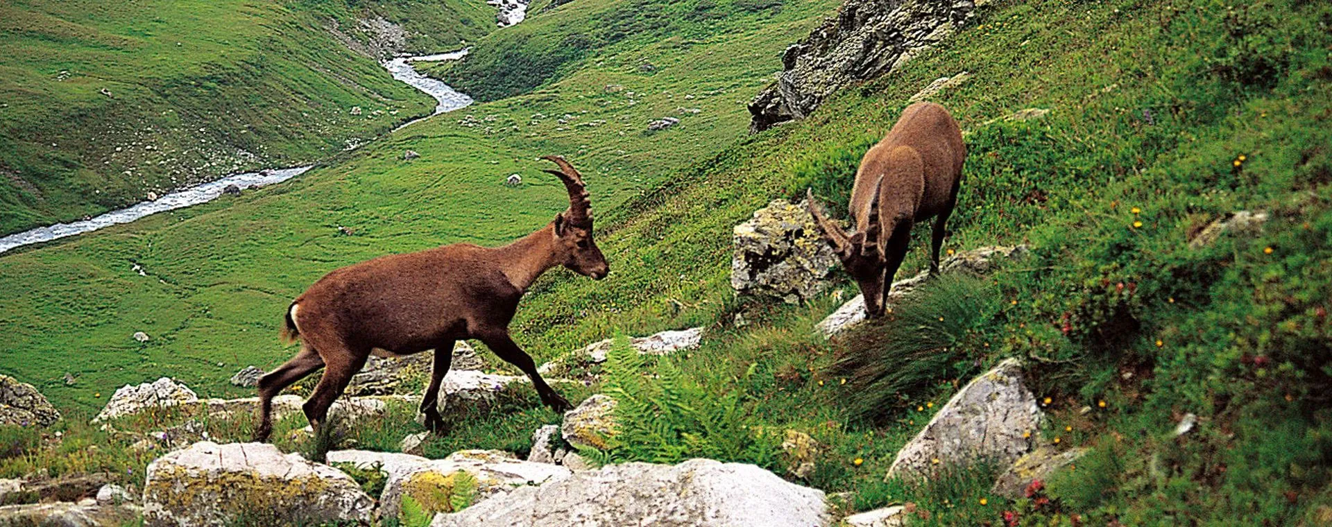 Gta Alpes Nord - Alpes - France - gta-alps-north-alpes-france-3