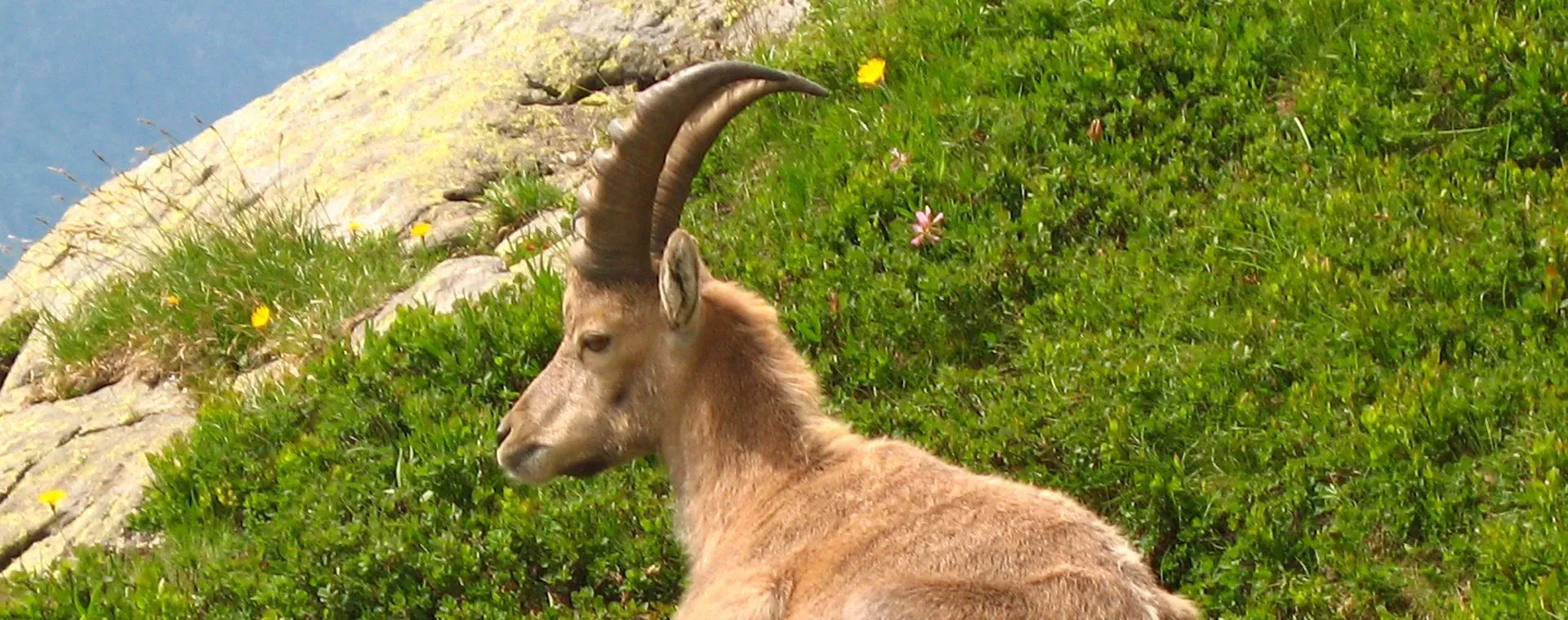 Gta Alpes Nord - Alpes - France - gta-alps-north-alpes-france-5