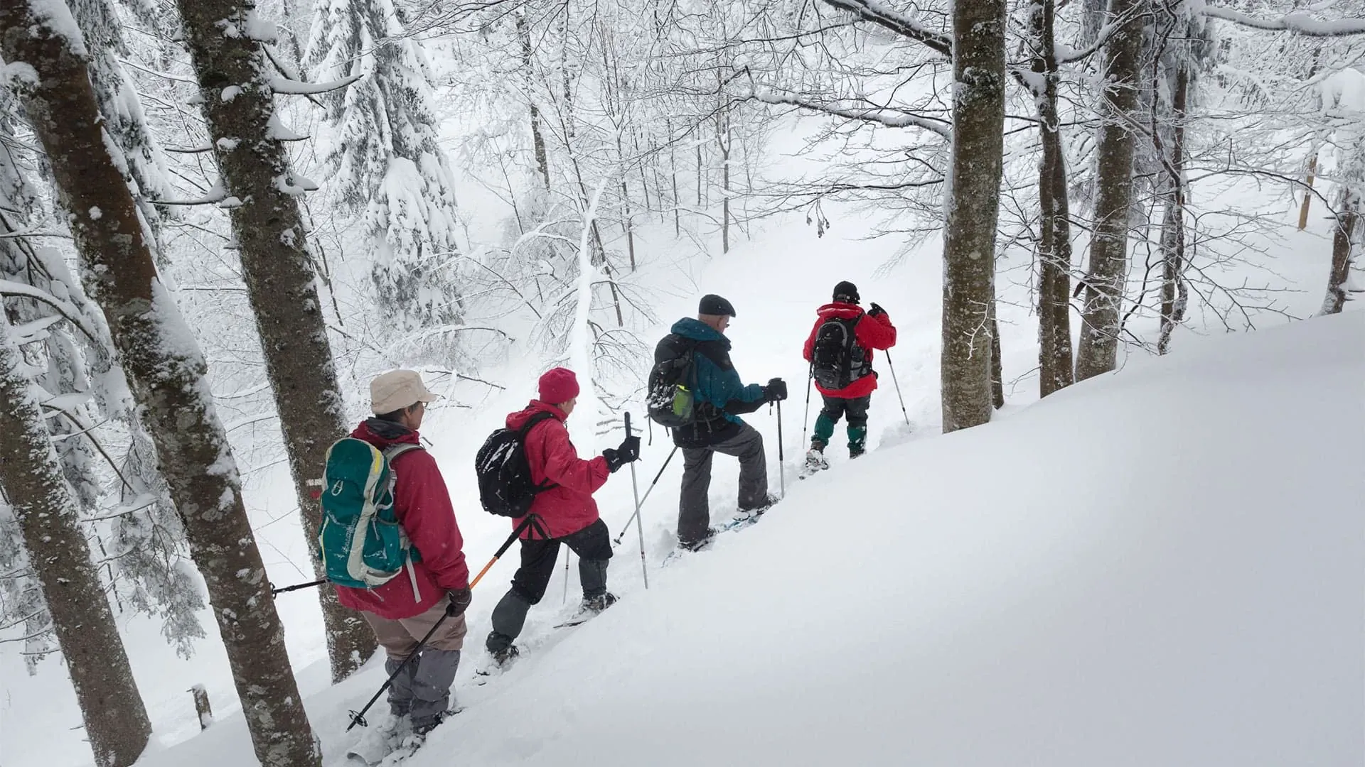 Gtj Lex Van Den Bosch - France - gtj-lex-van-den-bosch-france-2