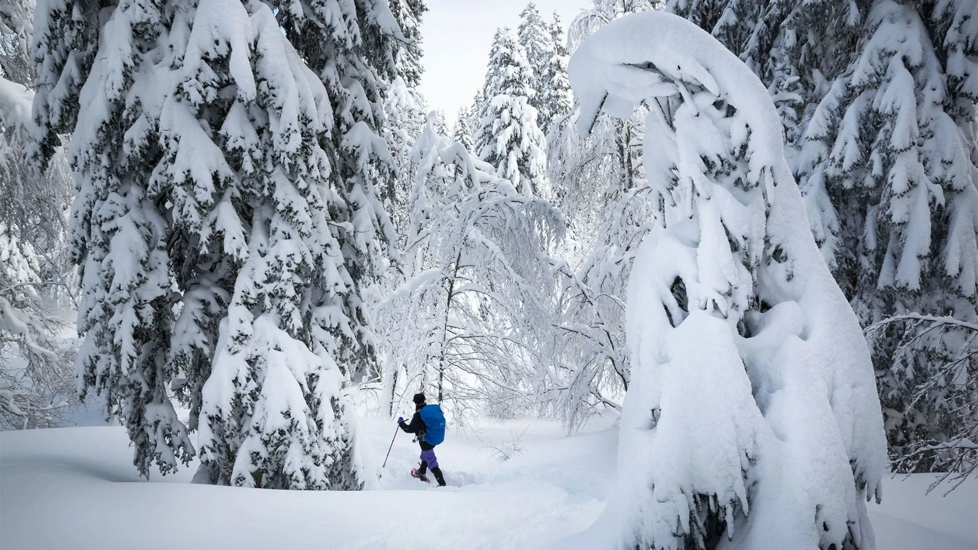 Gtj Lex Van Den Bosch - France - gtj-lex-van-den-bosch-france-3