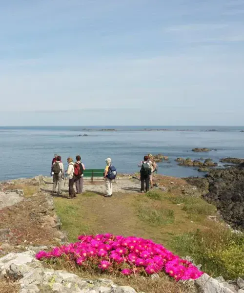Guernesey - Pleinmont Point © François Ribard