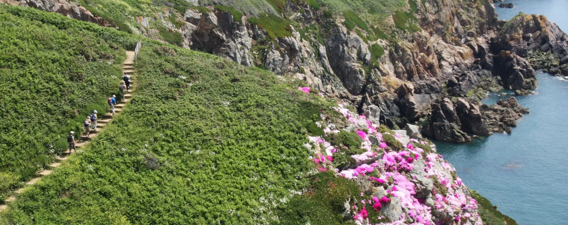 Guernesey Sur Le Cliff Path