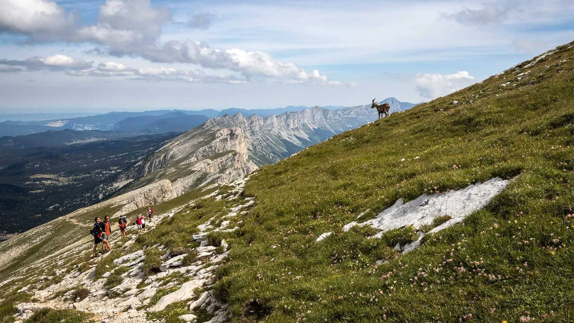 Guide Daniel a Penas - Cordillere Royale - Bolivie © Guillaume Lorimier