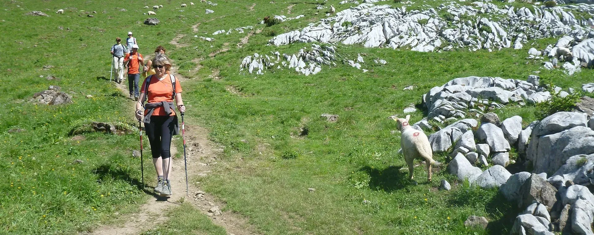 Randonnee guidee dans les Aravis - Haute-Savoie - France - guided-hiking-in-aravis-haute-savoie-france-4
