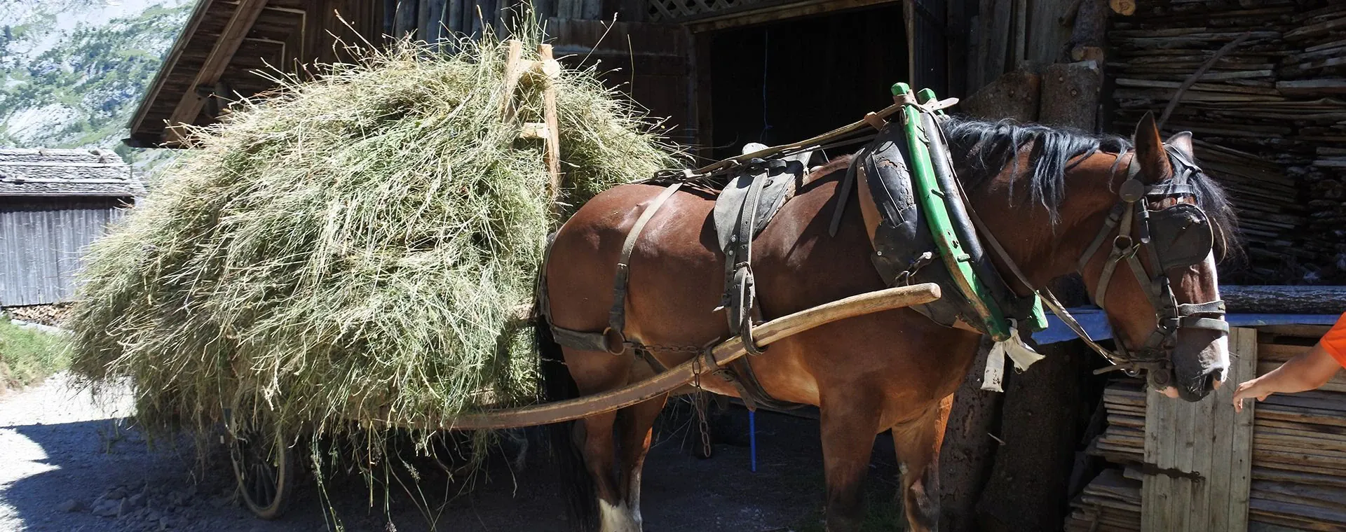 Randonnee guidee dans les Aravis - Haute-Savoie - France - guided-hiking-in-aravis-haute-savoie-france-6