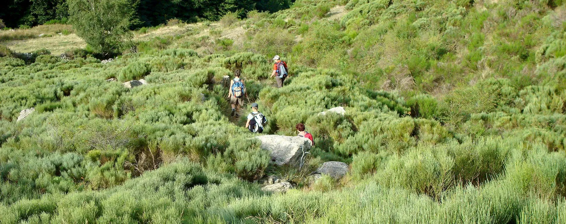 Randonnee guidee dans les Aravis - Haute-Savoie - France - guided-hiking-in-aravis-haute-savoie-france-9