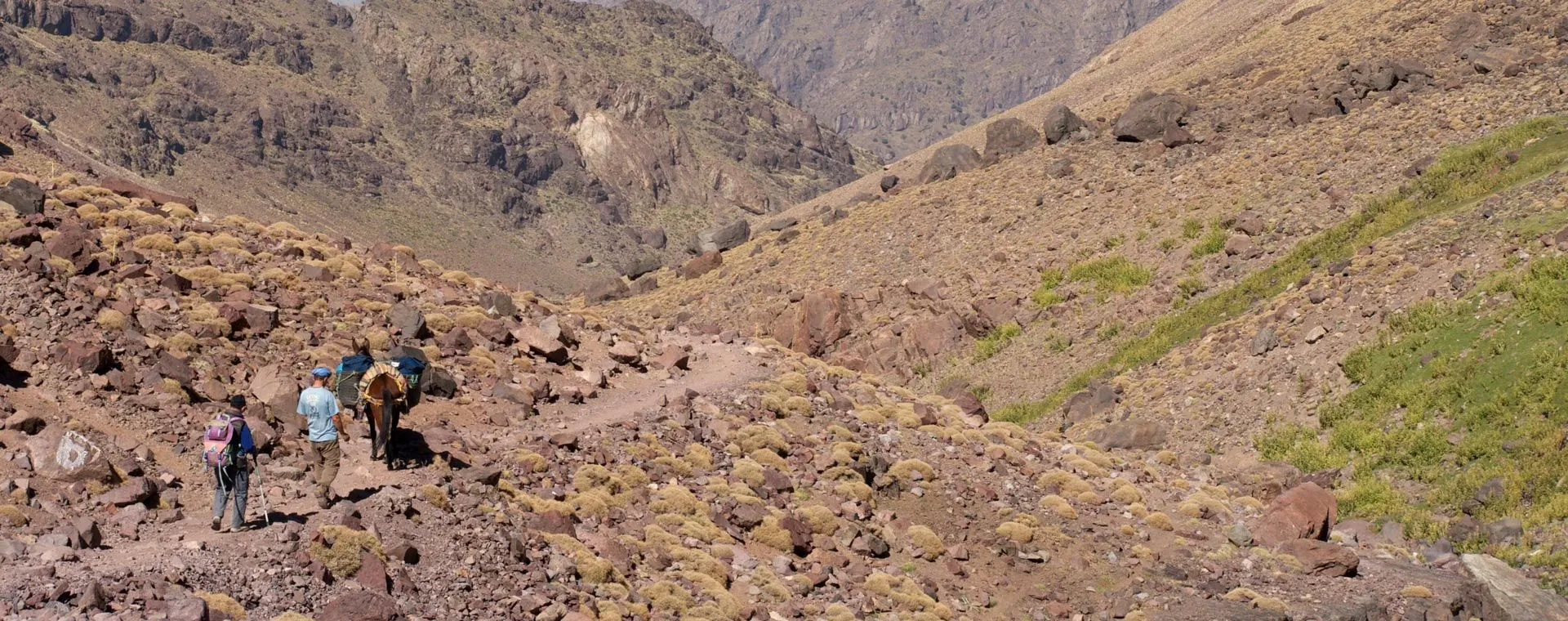 Randonnee guidee au Spitzberg - Svalbard - Norvege - guided-hiking-in-spitsbergen-svalbard-norway-3