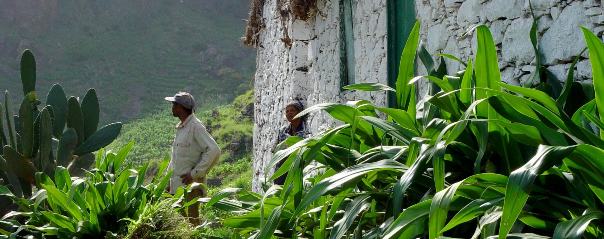 Habitants Cap Vert - Cap-Vert