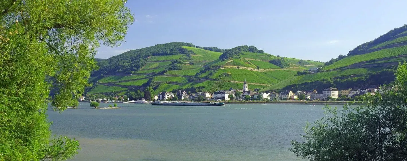 Hameau Assmannshausen Long Rhin - Allemagne