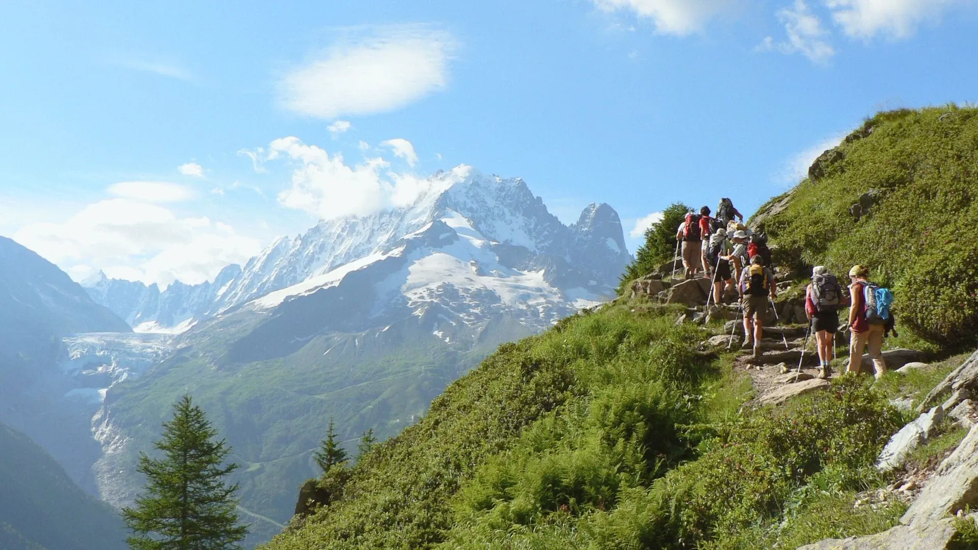 Randonneur heureux avec mouton dans les alpages - Mont-Blanc
