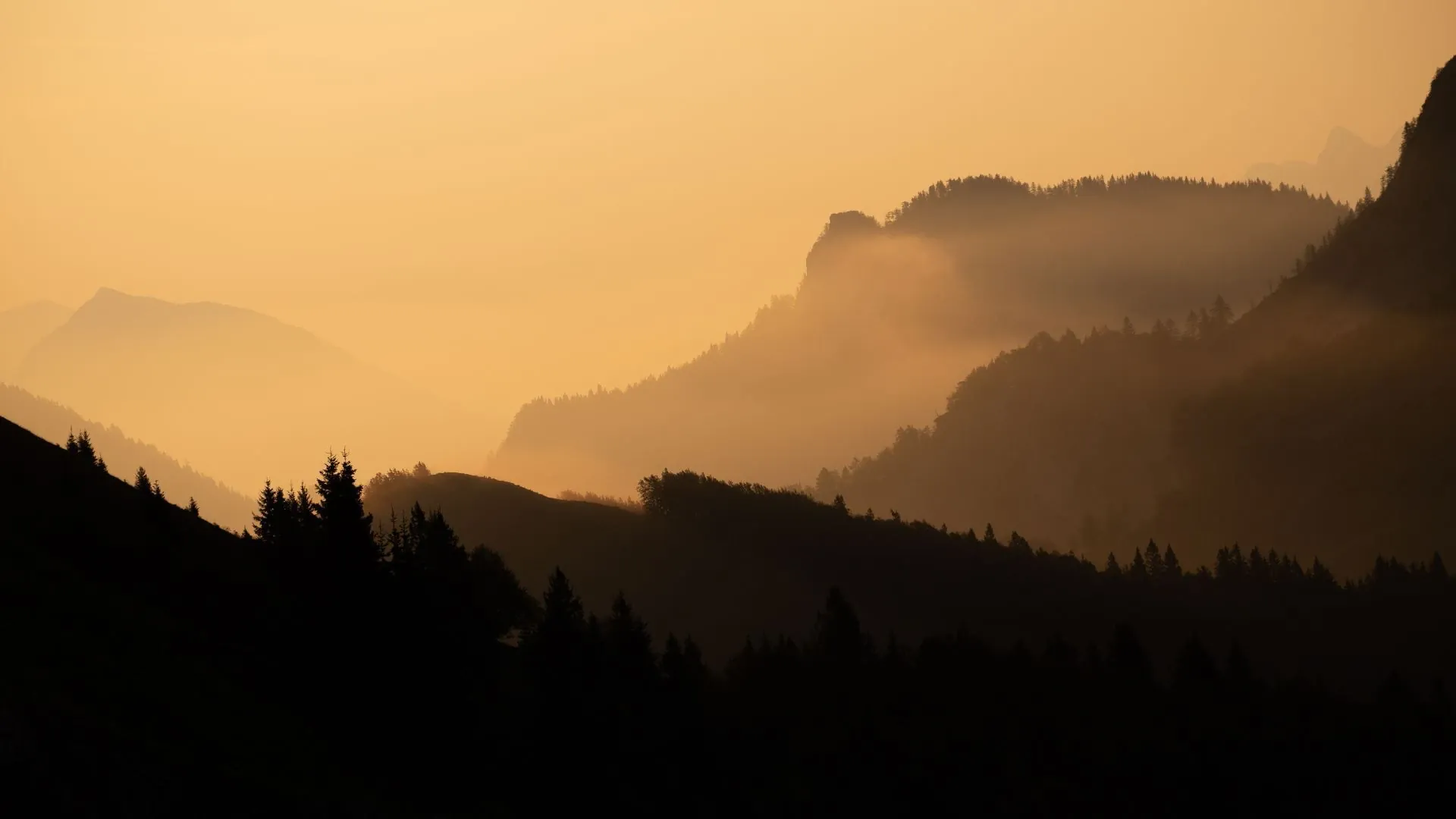 Port et ruelles de Riomaggiore - Cinque Terre - Italie