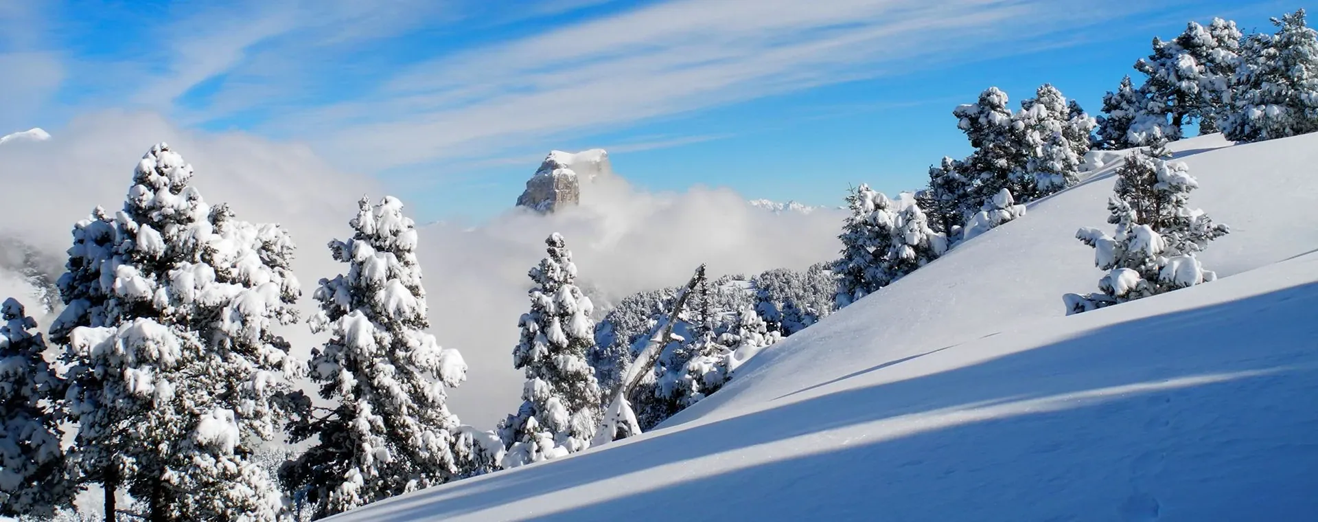 Hauts Plateaux Vercors Neige - Vercors - France