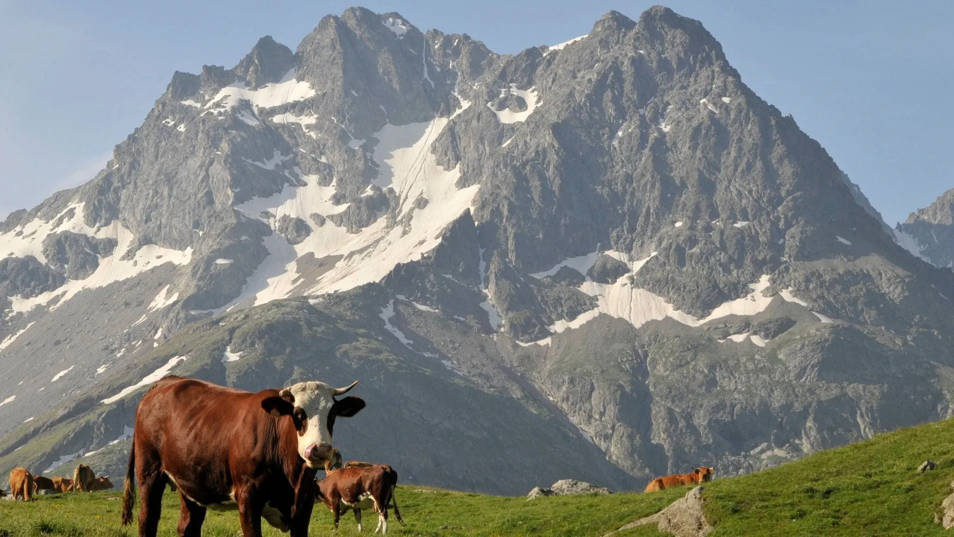 Randonneur et son chien - Écrins - France