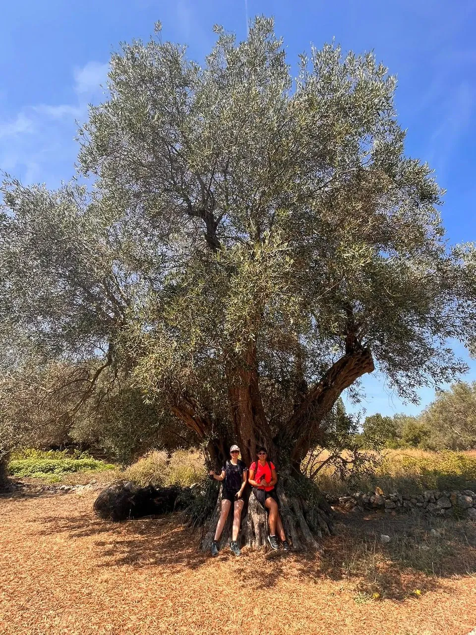 Randonneur sur le Tour du Mont-Blanc - Alpes - France - hiker-on-the-tour-du-mont-blanc-alps-france-2