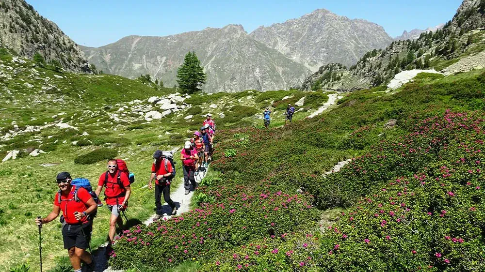 Randonneurs au rocher de Cledat - Plateau de Millevaches - France