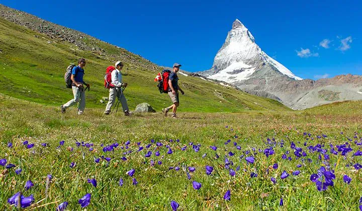 Randonneurs dans une prairie fleurie face au Cervin - Alpes suisses