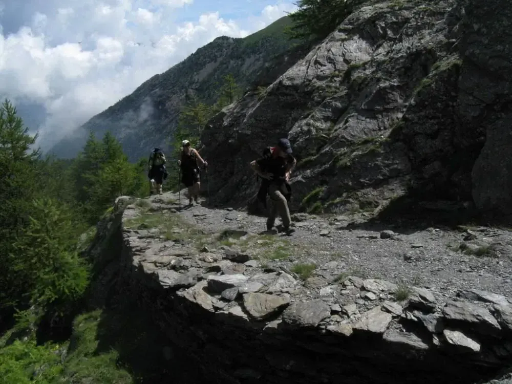 Randonneurs en foret sur le plateau de Millevaches - France