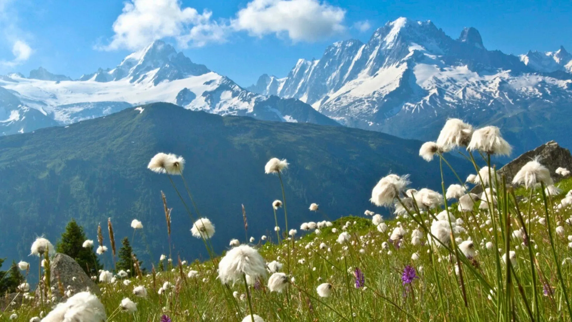Randonneurs dans le Val Ferret face aux glaciers - Italie