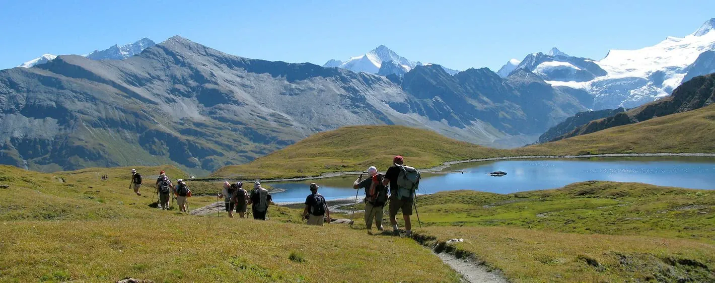 Randonneurs pres du glacier d Aletsch - Valais - Suisse