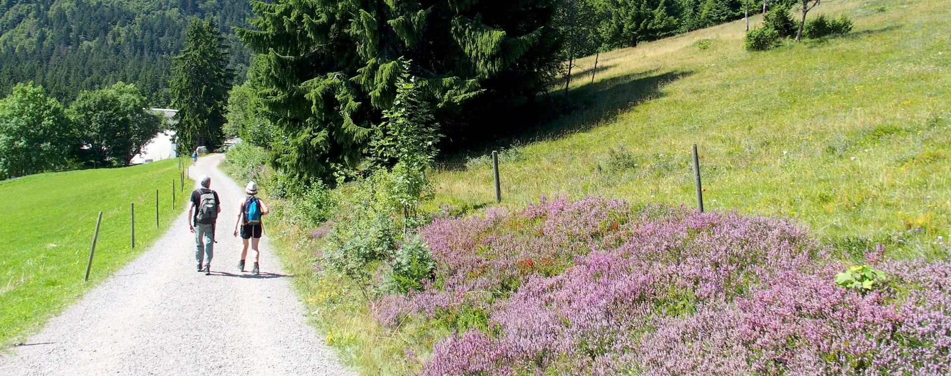 Randonneurs sur les falaises d Etretat - Normandie - France - hikers-on-etretat-cliffs-normandy-france-2