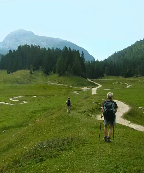 Randonneurs sur le sentier du Passo Limo dans les alpages - Dolomites - Italie