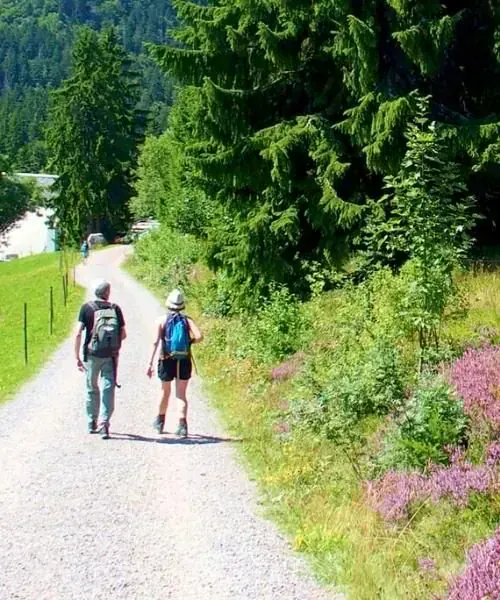Randonneurs sur le chemin de la Forêt-Noire - Allemagne