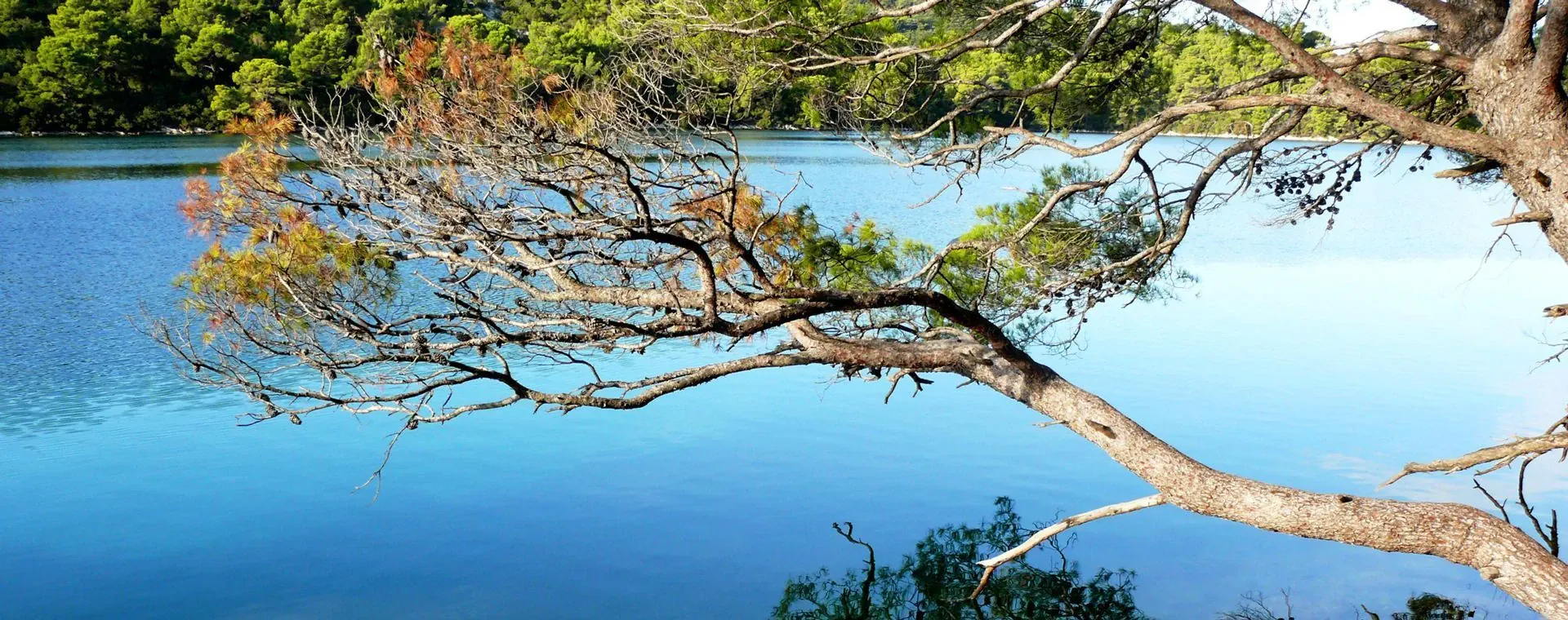 Randonnee croisiere en Dalmatie - Croatie - hiking-and-sailing-cruise-in-dalmatia-croatia-4