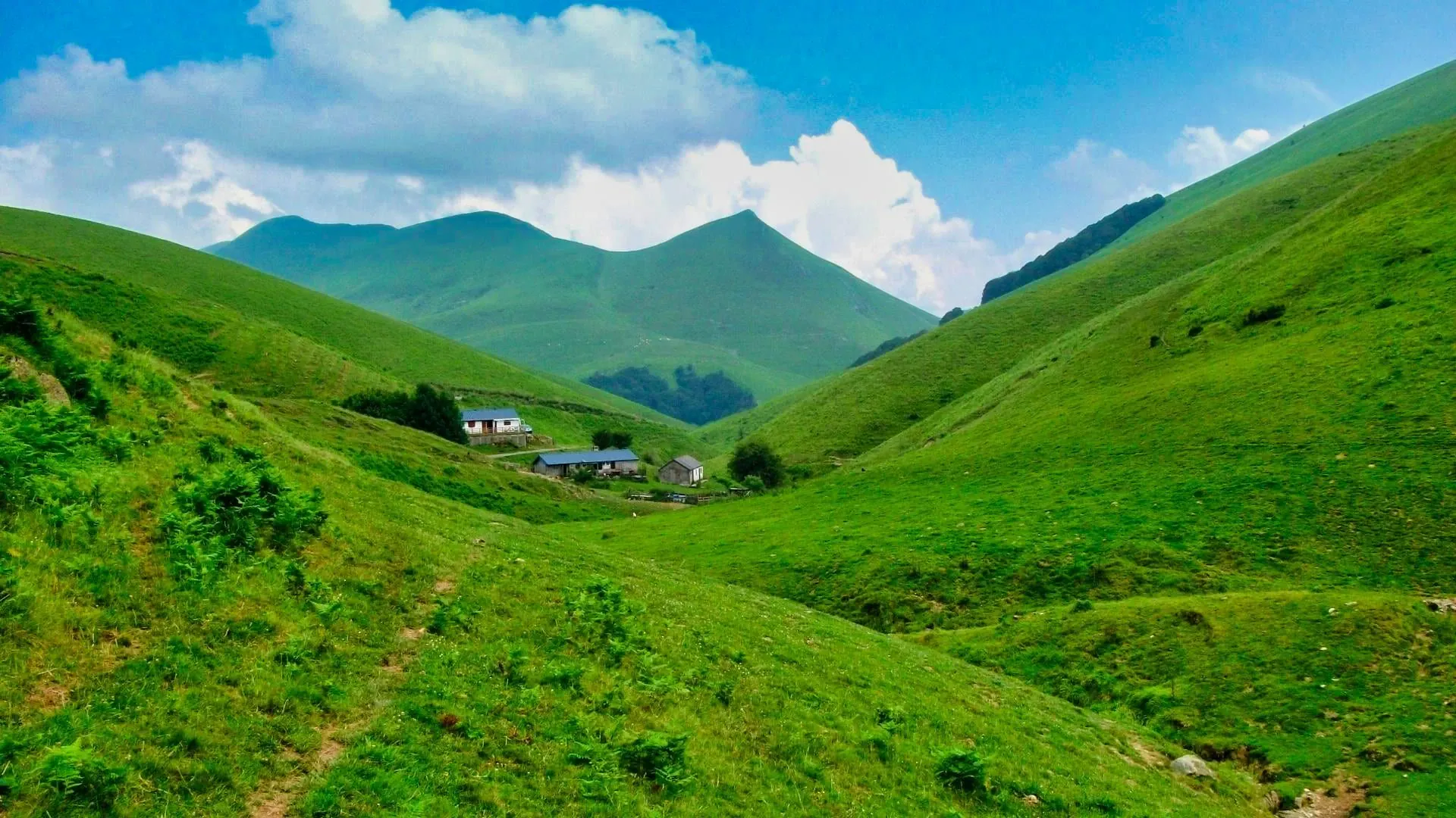Randonnée et croisière en Dalmatie - Croatie