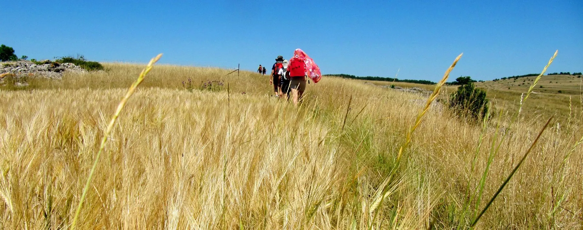 Randonnee au Cap Pertusato - Corse du Sud - France - hiking-at-cap-pertusato-southern-corsica-france-2