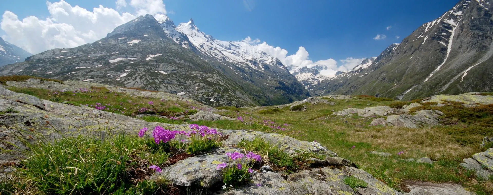 Randonnée entre Oia et Fira - Santorin - Grèce