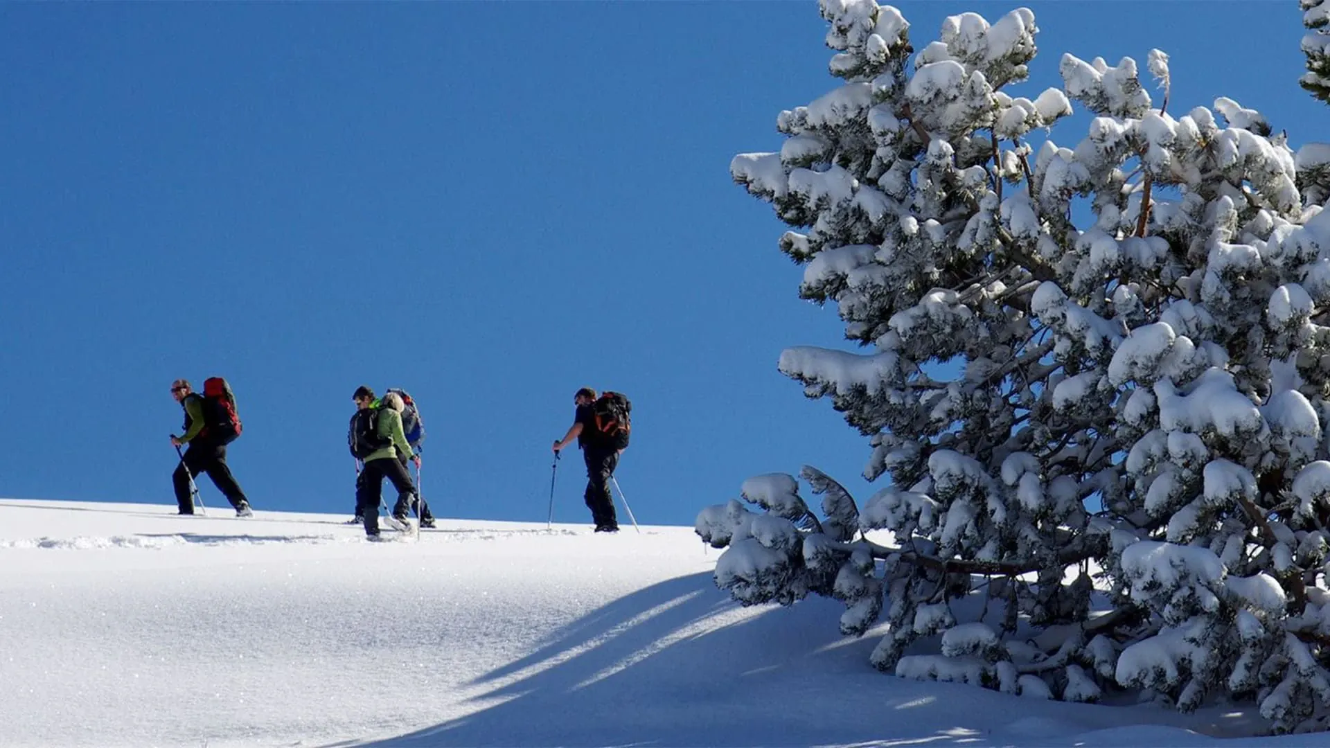 Randonnée en Forêt-Noire - Allemagne © Raymond Chabanier - hiking-in-black-forest-germany_raymond-chabanier