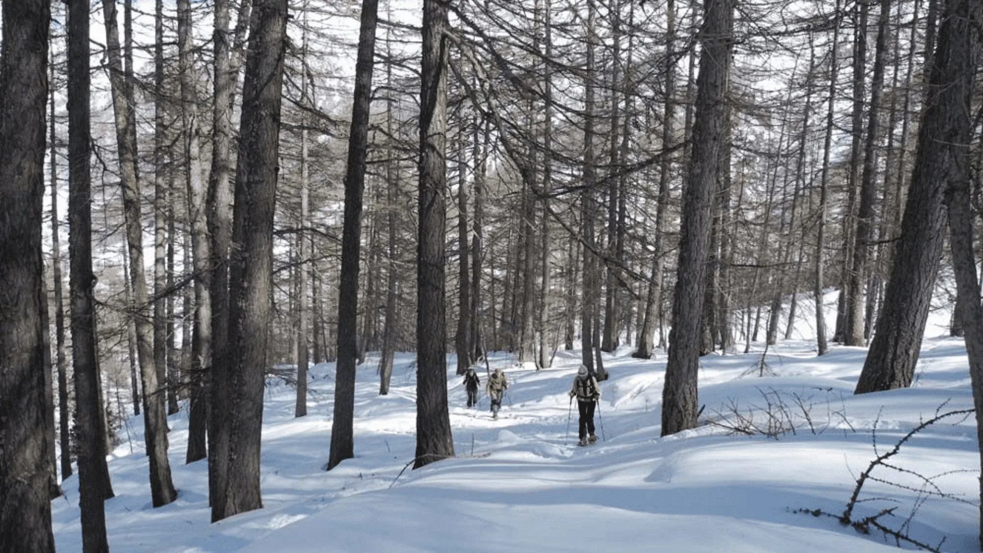 Randonnée dans le cirque de Mafate - Île de la Réunion