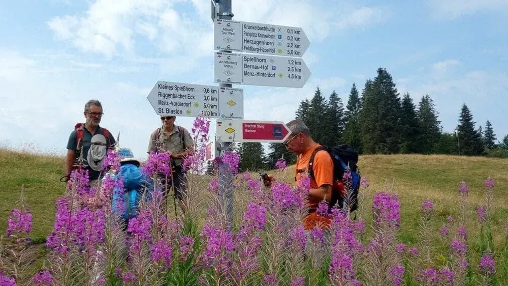 Randonnée en Forêt-Noire - Allemagne © Jean-Claude Praire - hiking-in-the-black-forest-germany_jean-claude-praire-2