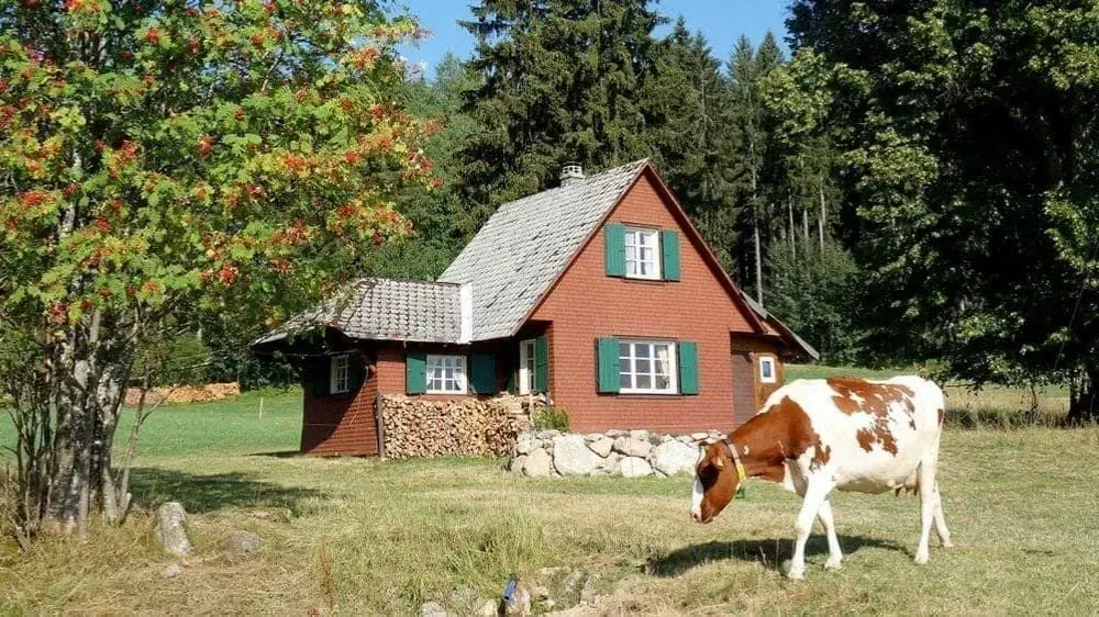 Randonnée en Forêt-Noire - Allemagne © Jean-Claude Praire - hiking-in-the-black-forest-germany_jean-claude-praire-3
