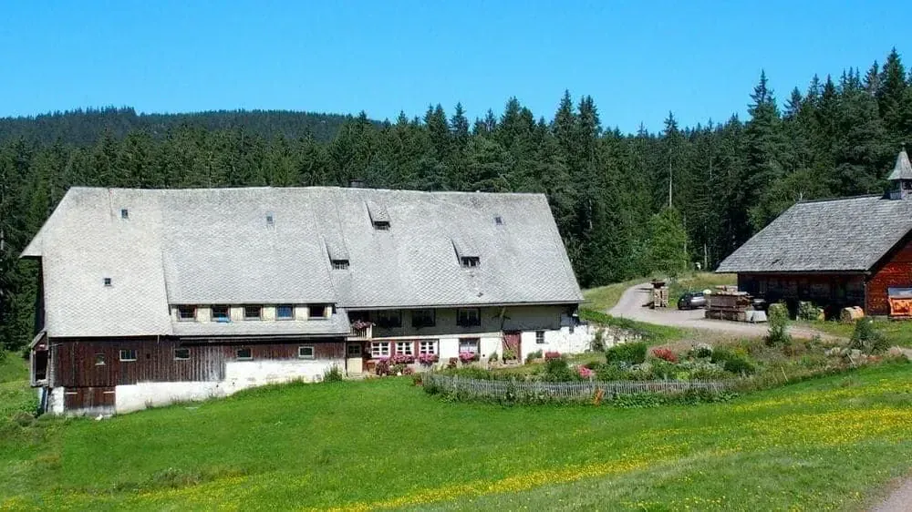 Randonnée en Forêt-Noire - Allemagne © Jean-Claude Praire