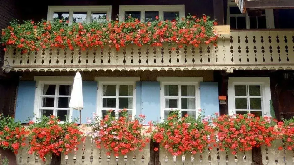 Randonnée en Forêt-Noire - Allemagne © Raymond Chabanier - hiking-in-the-black-forest-germany_raymond-chabanier-3