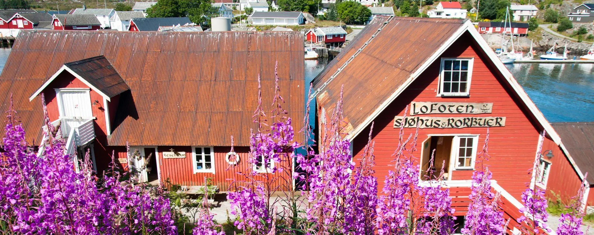 Randonnée aux îles Lofoten - Norvège - hiking-in-the-lofoten-islands-norway-6