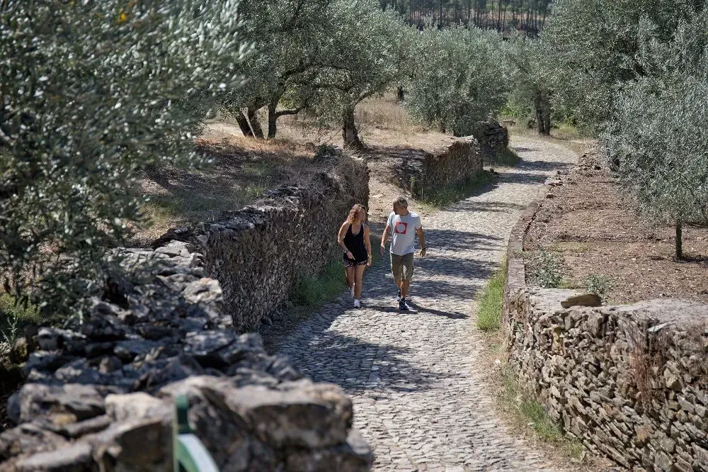Randonnée près du glacier Morteratsch - Engadine - Suisse