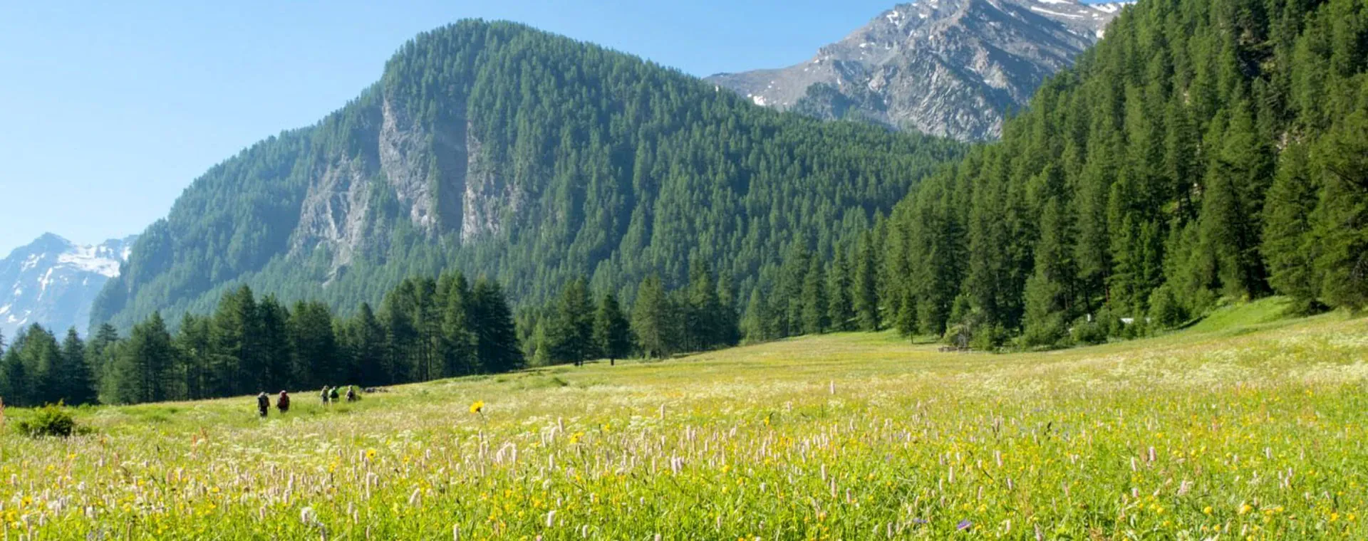 Randonnee sur le Causse Noir - Grands Causses - France