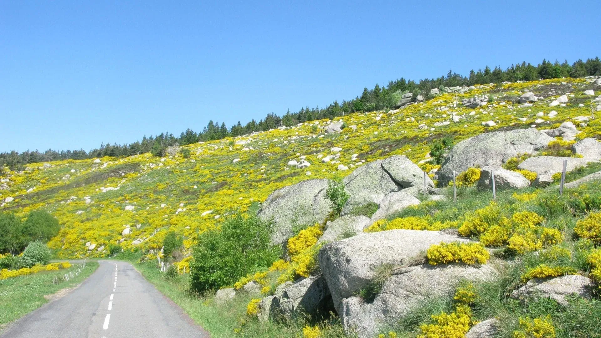 Randonnee sur le chemin de Stevenson - Massif Central - France - hiking-on-the-stevenson-trail-massif-central-france-2