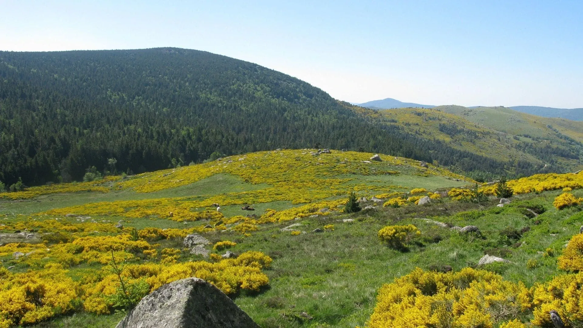Randonnee sur le chemin de Stevenson - Massif Central - France
