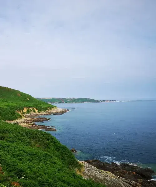 Poignée et manche de bâtons de randonnée