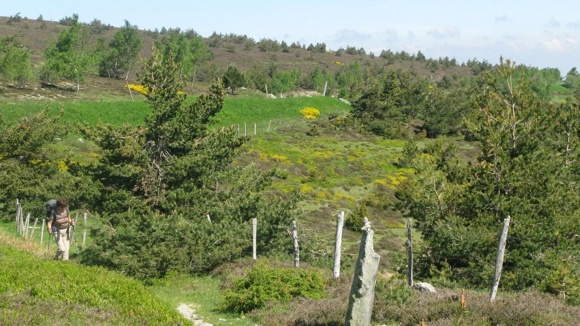 Randonnee Sur Le Chemin De Stevenson - France - hiking-sur-le-path-de-stevenson-france-2