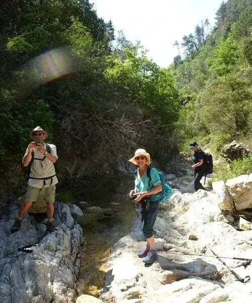 Randonnee dans les oliviers - Corfou - Grece