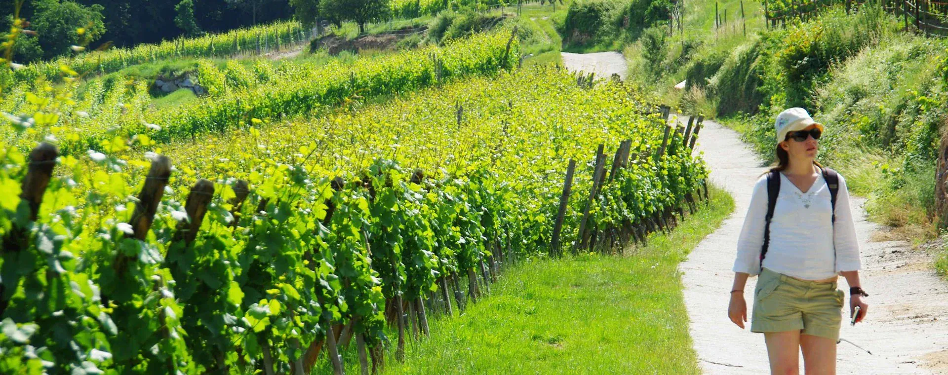 Randonnée vers Porto - Corse - France