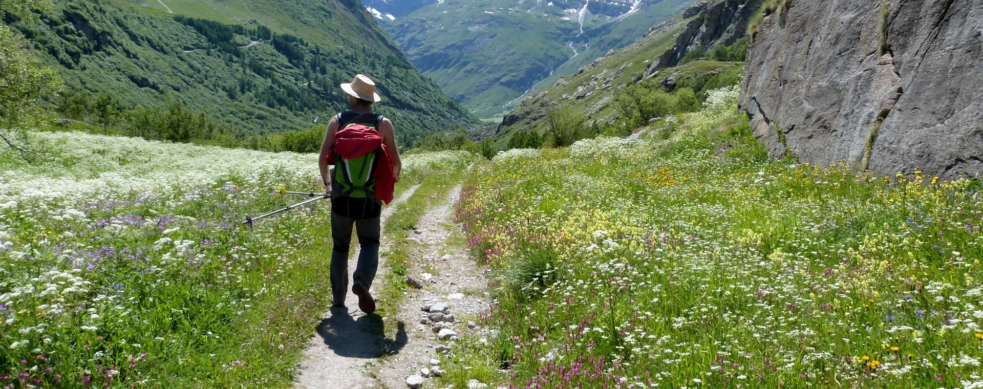 Randonnee Vanoise Alpes - Alpes - France