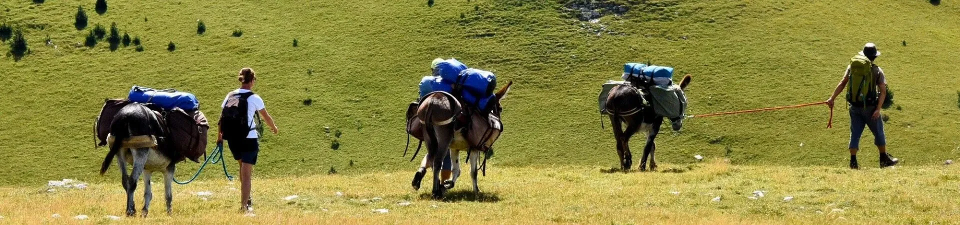 Randonnée avec âne France : séjours et vacances organisés
